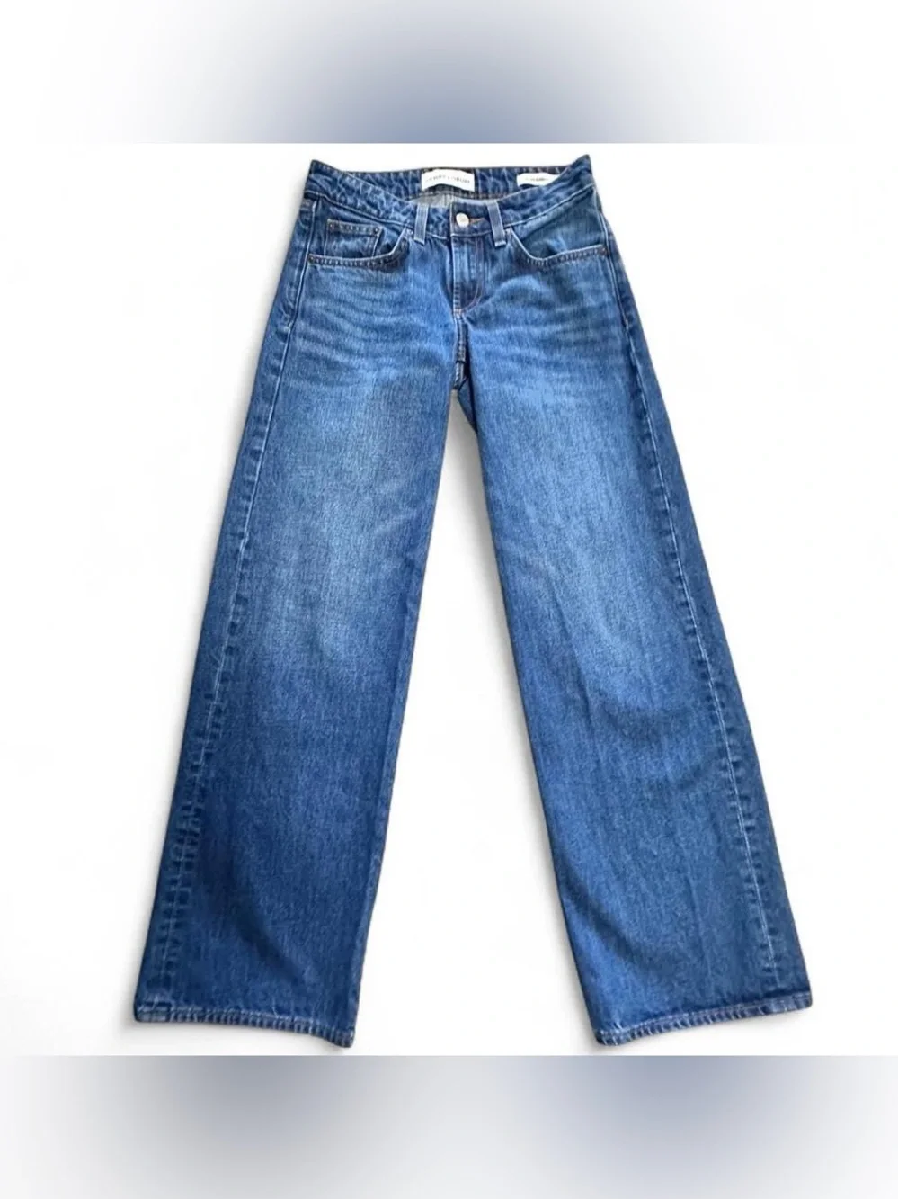 Aritzia Denim Forum 90’s Super Lo-Rise Baggy Wide Leg Jeans Size 23